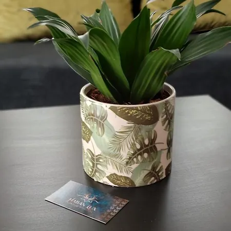 Heviz Lux Apartmanhaz Apartment Heviz