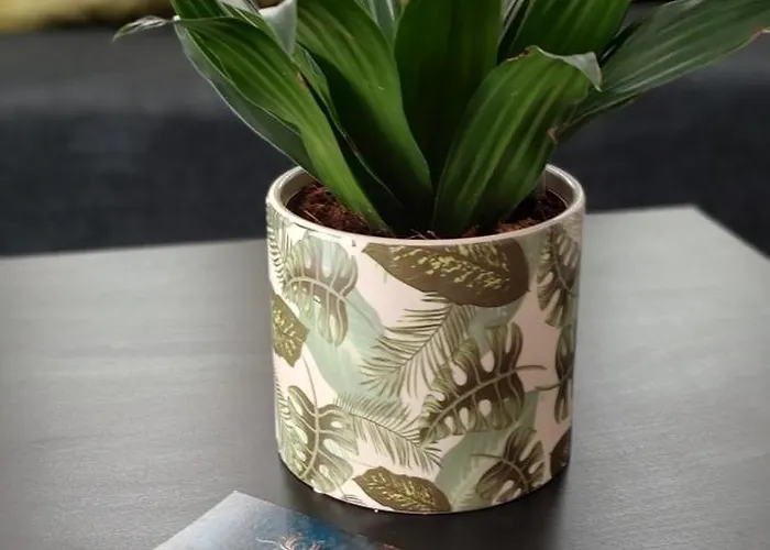 Lux Apartmanhaz Apartamento Hévíz